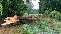 Буревій наробив біди у Шацьку: що відомо (фото)