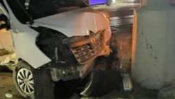 Автівка з Волині перевозила заморожених мертвих собак і потрапила в ДТП