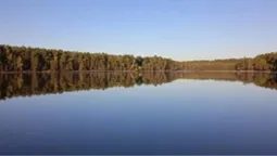 Острів, який зник під водою, і «гліцеринова» вода: чим дивують три озера Полісся (фото)
