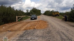 На Волині в зоні африканської чуми діють спецпости (фото)