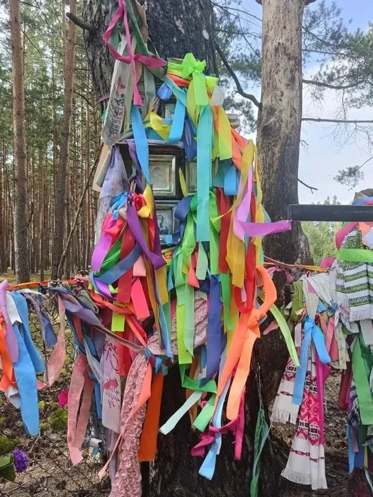 Хрести серед лісу і загадкові зцілення: на Поліссі є місце, куди їдуть за дивом (фото)