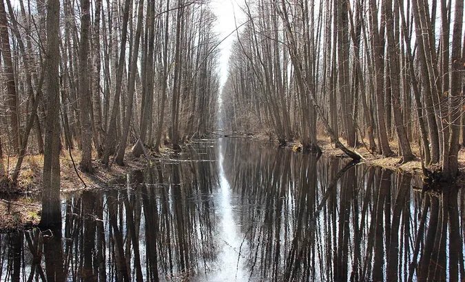Волинське село заблокувало водний канал до Білорусі, щоб було де мити бурштин? (відео)