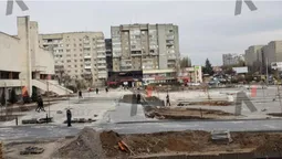 Перед РАЦСом у Луцьку зрізали ялинки (фото)