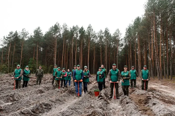 Мільйон дерев за добу: по всій Волині лісівники й волонтери долучилися до акції (фото)