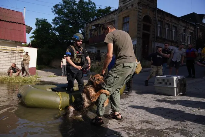 Луцький зоопарк допоможе постраждалим тваринам з затопленої Херсонщини