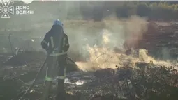 На Волині загорівся торф: пожежа охопила 4 гектари (фото)