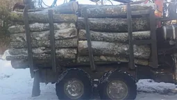 У Луцькому районі зловили ЗІЛ із нелегальною деревиною на 120 тисяч гривень (фото)