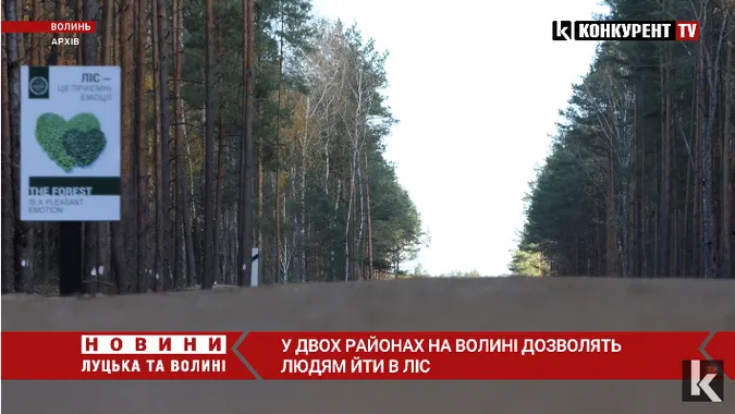 На Волині людям дозволять ходити в ліс, але не всім (відео)