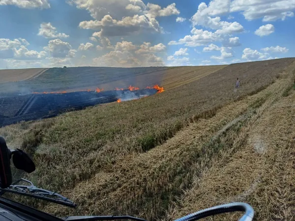 На Волині горіло поле з пшеницею