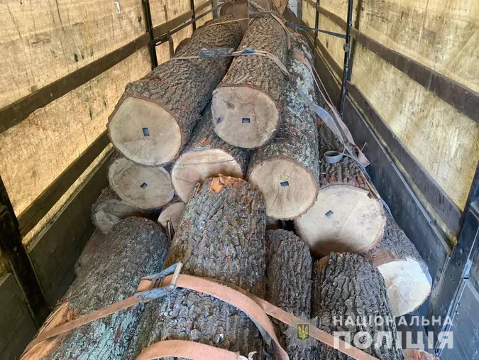 У Луцькому районі на блокпосту зупинили фуру, «забиту» дубовими колодами (фото)