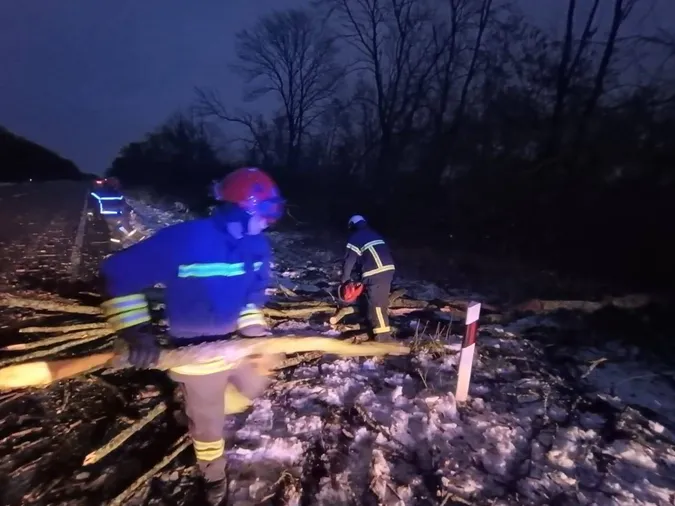 У Луцькому районі буревій повалив дерево на дорогу (фото)