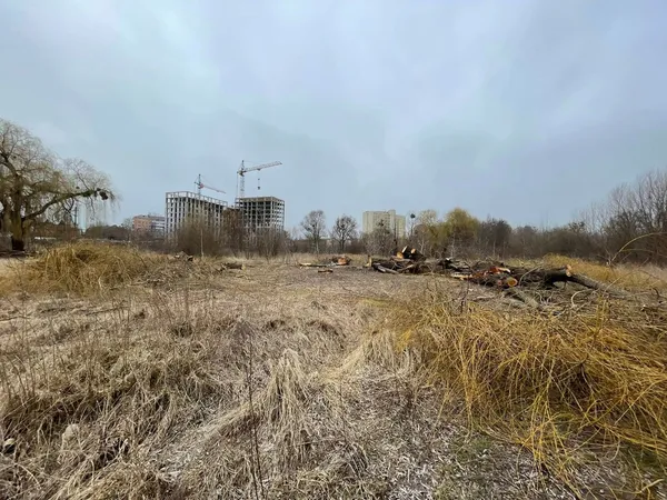 У Луцьку на Набережній дерева зрізали до оголошення тендеру (фото)
