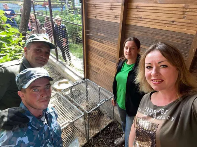 Пухнасті і хижі: що відомо про нових «котиків» Луцького зоопарку