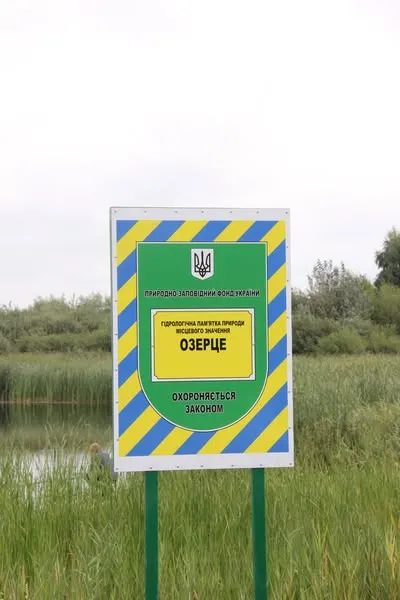 Глибоке і з прозорою водою: біля Луцька є озеро, де водиться багато риби (фото)