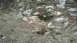 Знайшли причину смороду в Луцьку  (фото) 