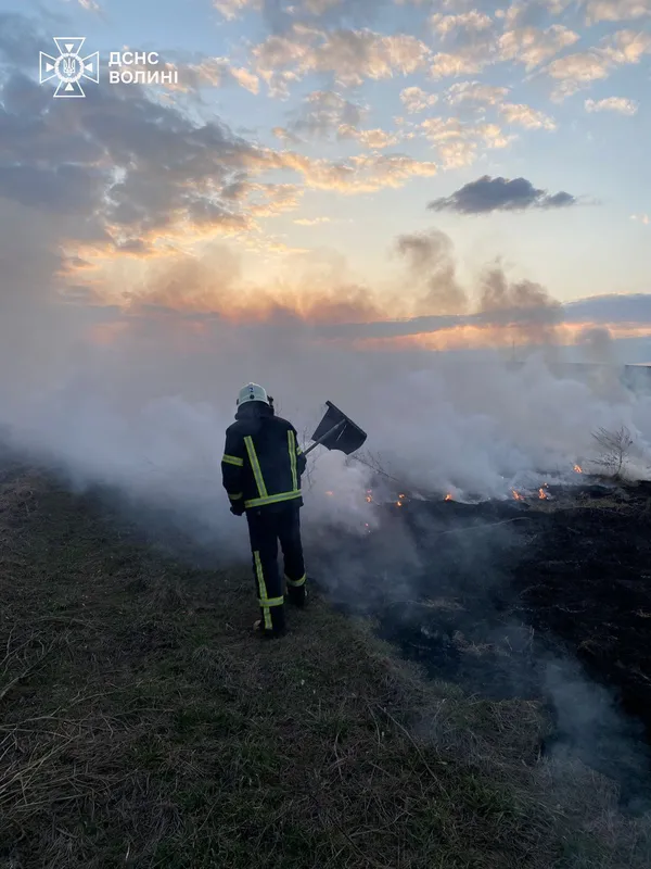 Палало по всій Волині: рятувальники гасили масштабні пожежі сухостою (фото)