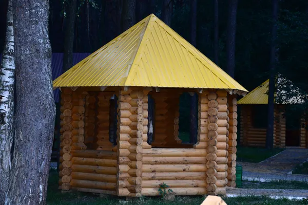 Лісівники соціальні: подорож рекреаційними пунктами Волині (фото)