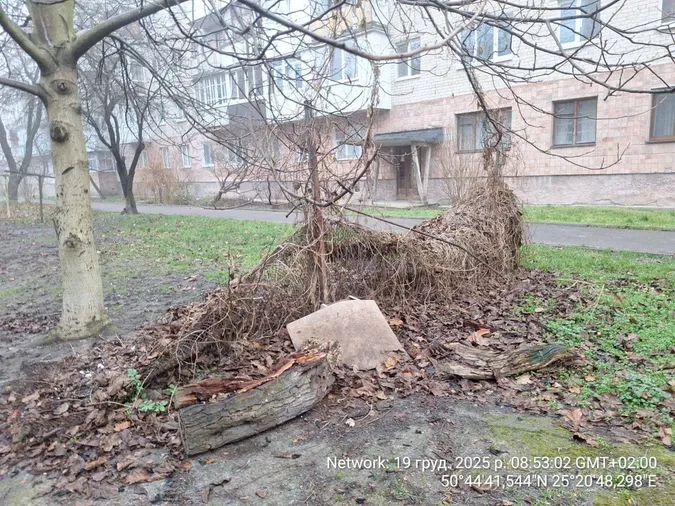 У Луцьку знесли незаконні огорожі у дворах (фото)