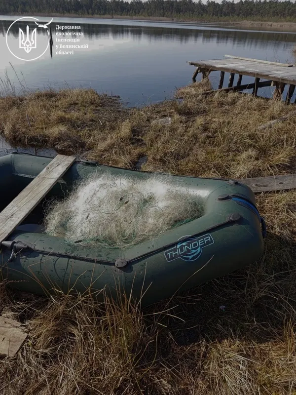 На Волині – нашестя браконьєрів: що коїться (фото)