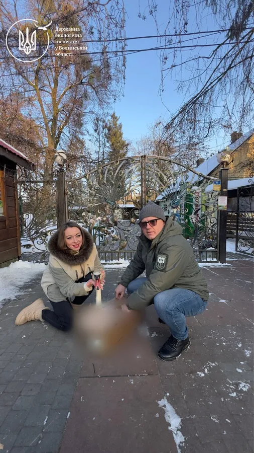 На трасі «Ковель – Ягодин» поліцейські врятували виснаженого лебедя