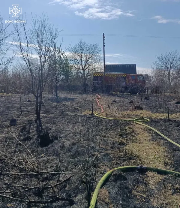 На Волині за добу вигоріли гектари трави: вогонь дістався навіть дачного будинку (фото)