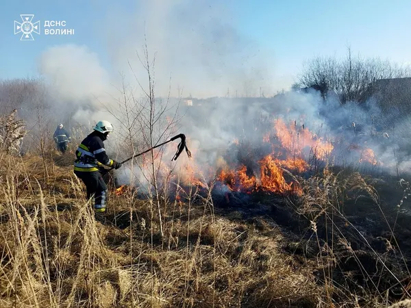 На Волині за добу вигорів понад гектар землі: рятувальники назвали ймовірну причину (фото)