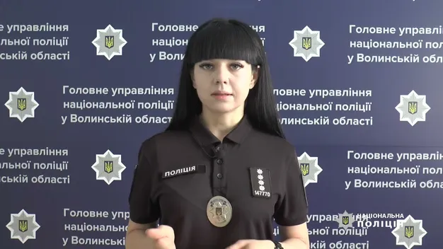 Автомати, набої та гранати: на Волині зловили торговців зброєю (фото, відео)