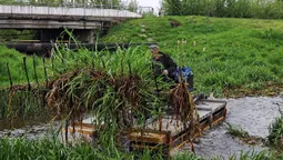 У Володимирі чистять річку в парку «Риловиця» (фото)