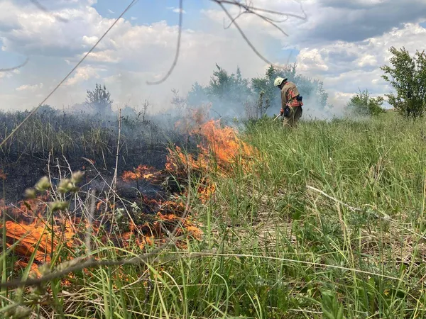 На Волині через грозу загорівся хлів, де були свині (фото)