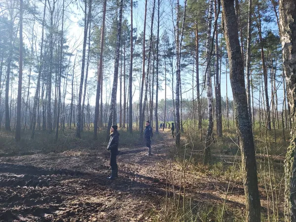 Обстежують лісосмугу та болота: на Волині продовжують пошуки зниклої дівчини (фото)
