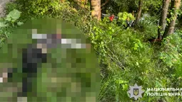 На швидкості в'їхав у дерево: на Рівненщині 17-річний юнак загинув у ДТП (фото)