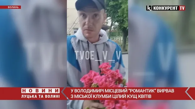 У Володимирі «романтик» вирвав з клумби кущ квітів: покарання не змусило чекати (відео)