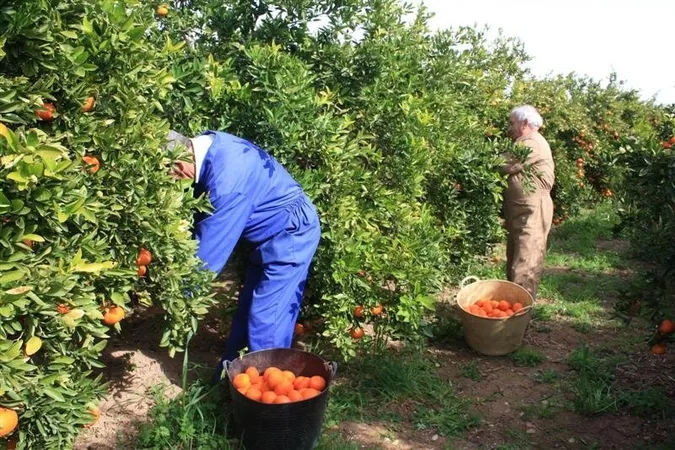 Українцям готові платити більше, ніж полякам, – дослідження