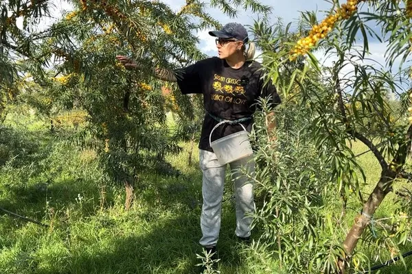 Оксана у своєму обліпиховому саду