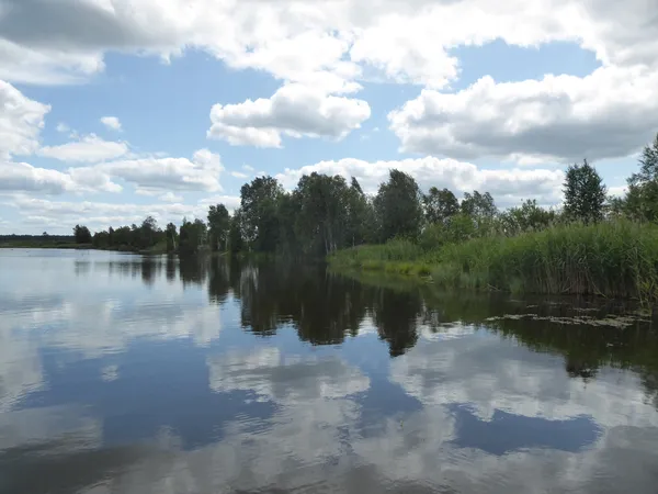 В нацпарку на Волині помітили нічну чаплю, яка живе на півдні (фото)