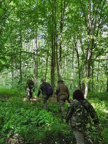 У «Цуманській пущі» закільцювали пташенят лелеки чорного (фото)