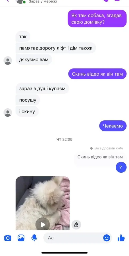 Як мішок зі сміттям: у Луцьку власники двічі викинули собаку на вулицю (фото)