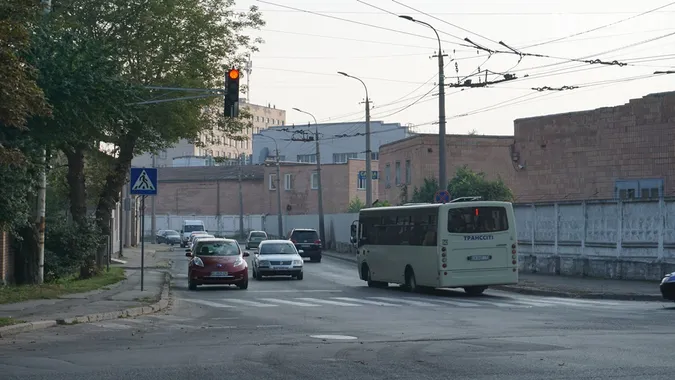 Квіти, песики, каштани: Дубнівська у Луцьку восени (фото)