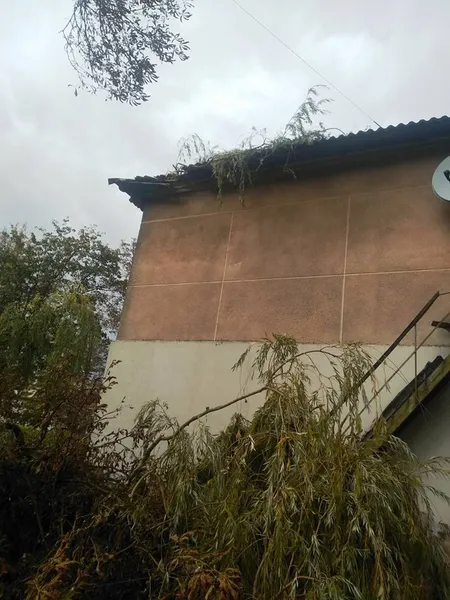 На Волині дерево вибило в гуртожитку вікно і знищило дах