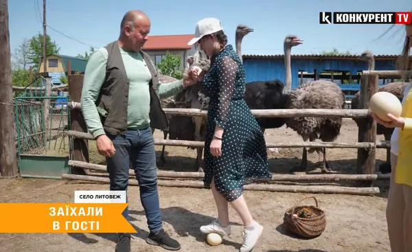 Де на Волині можна покататися на страусах (відео)