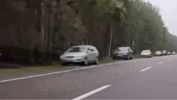 Всі по гриби: на Маневиччині біля лісів черги з машин (відео)