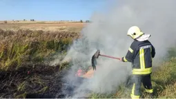 Паліїв шукають: у Луцькому районі пожежа знищила пів гектара поля (фото)