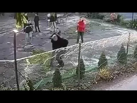 Ексдепутата, який балотувався від ОПЗЖ у Володимирі, відгамселила компанія молодиків (відео)