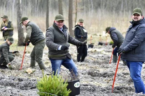 На Волині створили 10 гектарів нових лісів (фото)