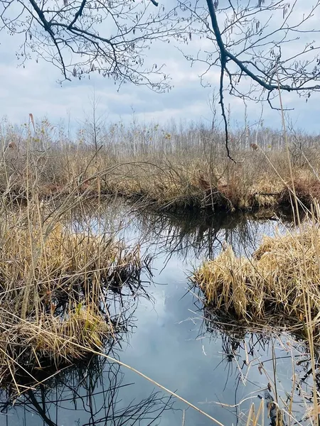 На Волині знайшли унікальну екосистему (фото)