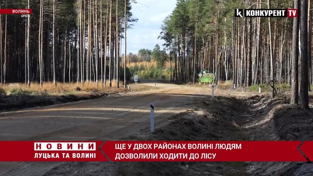 Волинянам дозволили збір грибів і ягід ще у двох районах (відео)