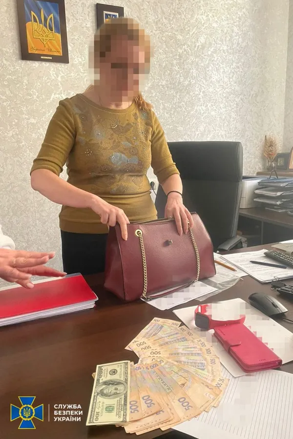 Від 200 гривень до 400 доларів за одну декларацію: затримали очільницю Житомирської митниці (фото)