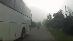Троє на одному скутері: на Волині діти ледь не потрапили під колеса авто (відео)