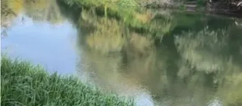 З'їхали з траси – і до самої води: біля Луцька показали рибне місце (відео)