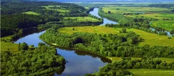 Із Волині у Дніпро через Білорусь, крізь болота та ліси несе свої води неймовірна річка (фото)